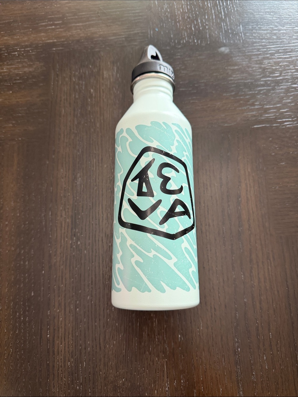 Mint Wave Stainless Steel Water Bottle with Black Teva Logo
